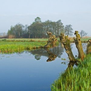 Oudshoornpad, Nieuwkoopse Plassen