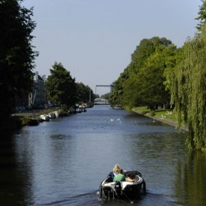 Groen van Toen